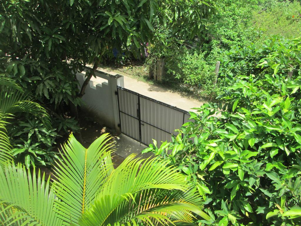 Bay Reach Home Stay Weligama Bagian luar foto