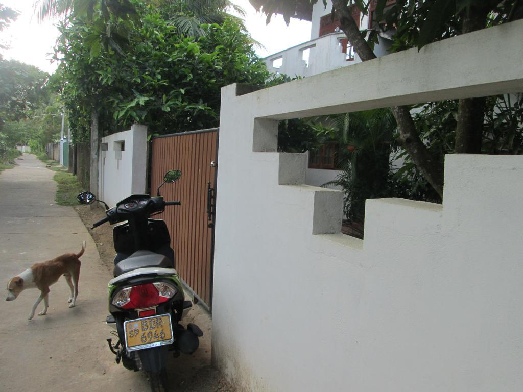 Bay Reach Home Stay Weligama Bagian luar foto