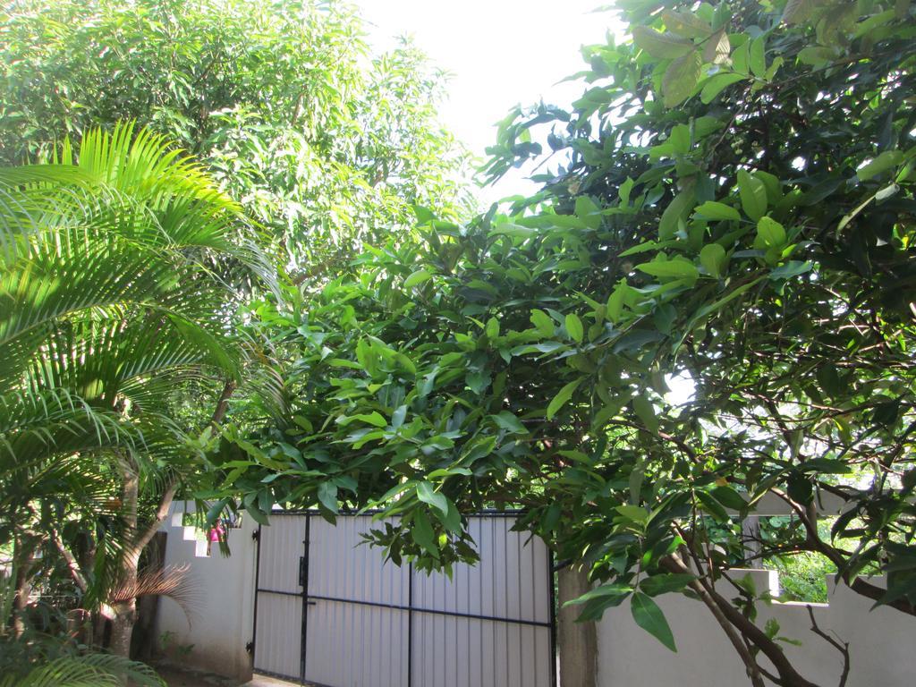 Bay Reach Home Stay Weligama Bagian luar foto