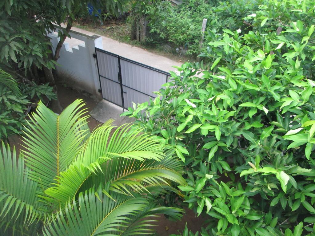 Bay Reach Home Stay Weligama Bagian luar foto