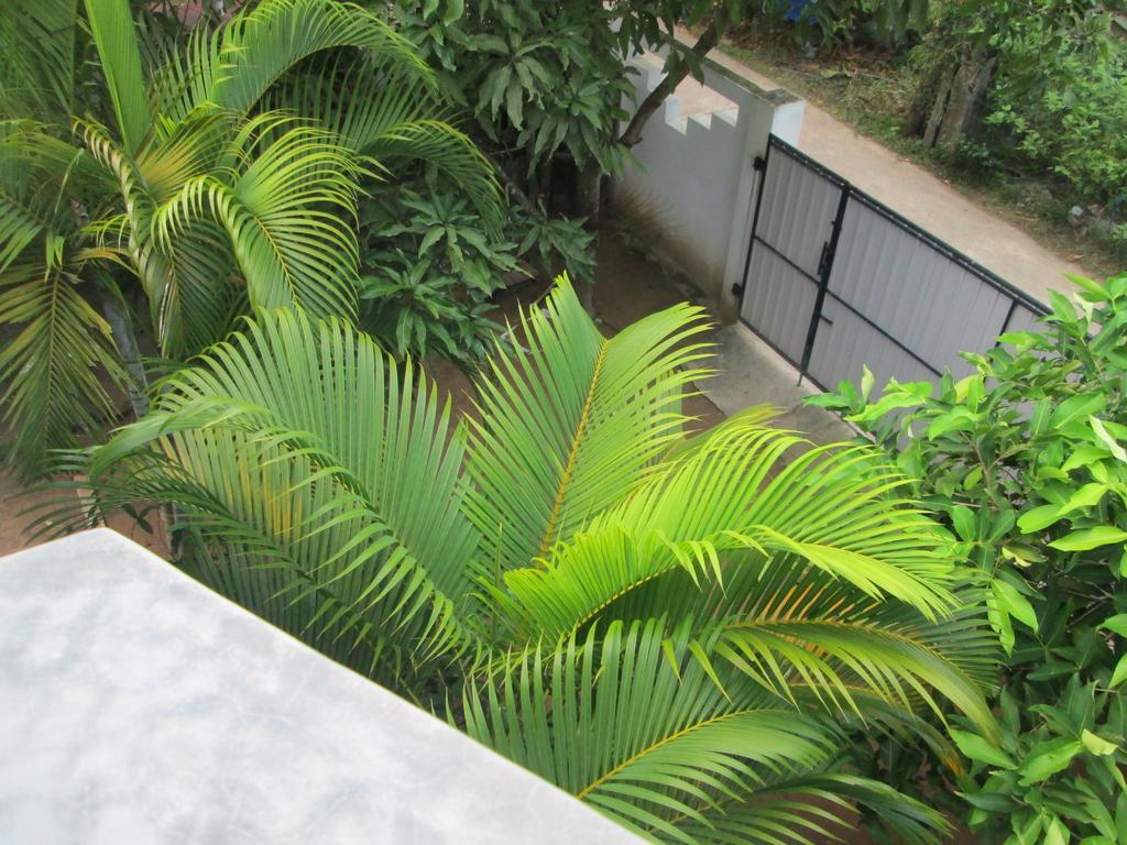 Bay Reach Home Stay Weligama Bagian luar foto